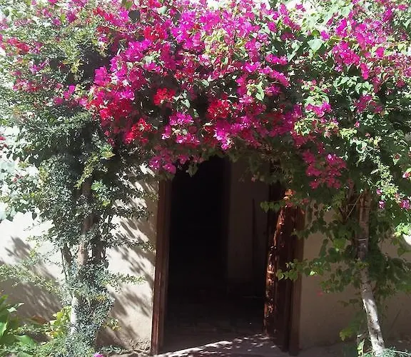 Nour El Gourna