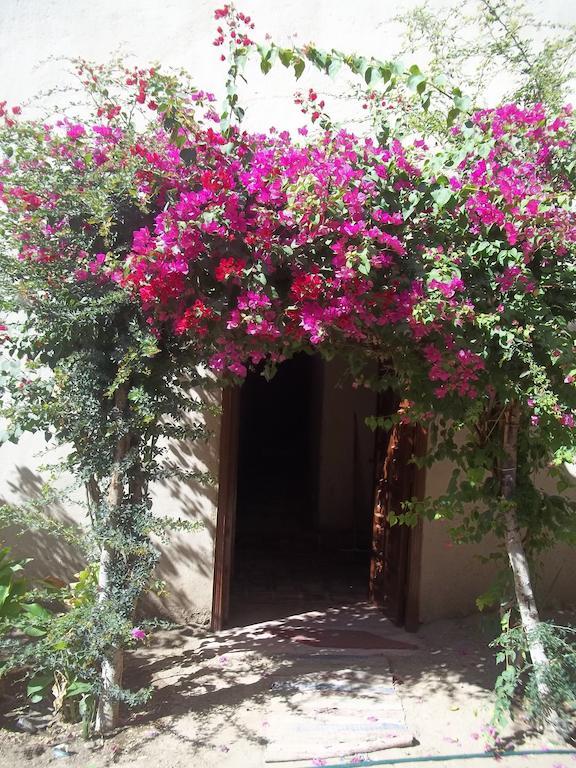 Hotel Nour El Gourna Luxor